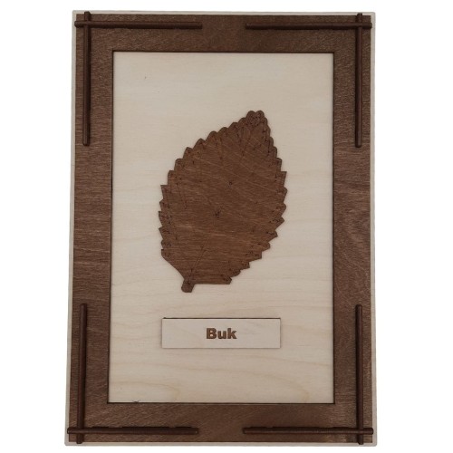 Drewniany obrazek liścia buku